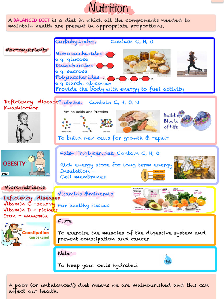 Essential Components of a Balanced Diet | PDF