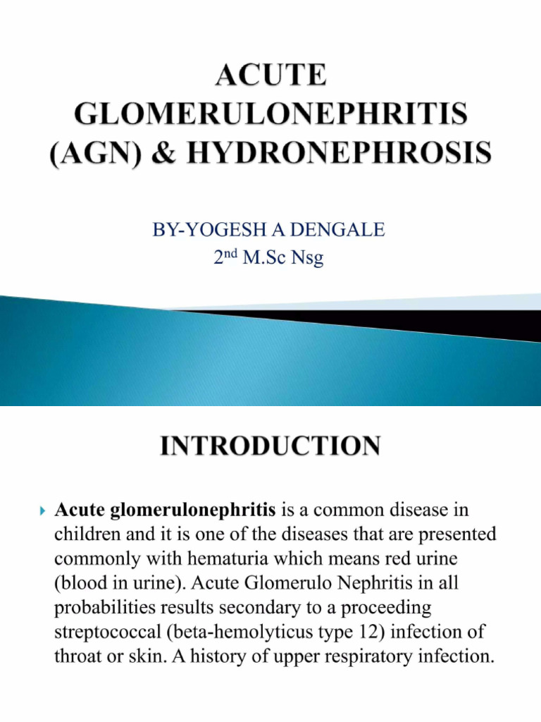 Acute GlomeruloNephritis | PDF