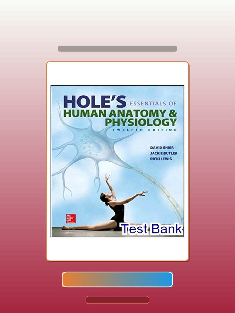 Test Bank For Holes Human Anatomy and Physiology 12th Edition Shier ...