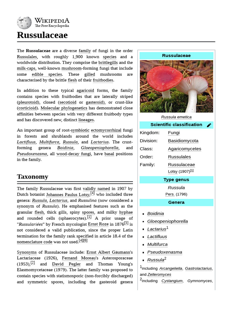 Overview of Russulaceae Fungi Family | PDF | Fungus | Mycology