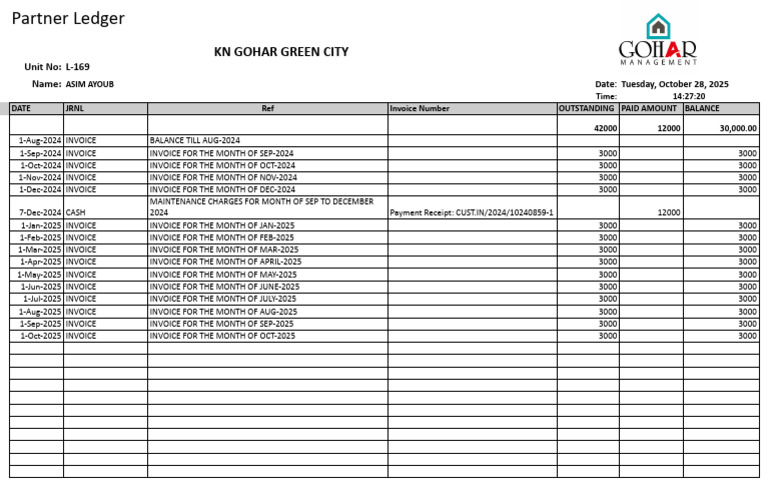 Partner Ledger for Asim Ayoub | PDF | Accounting | Business Documents