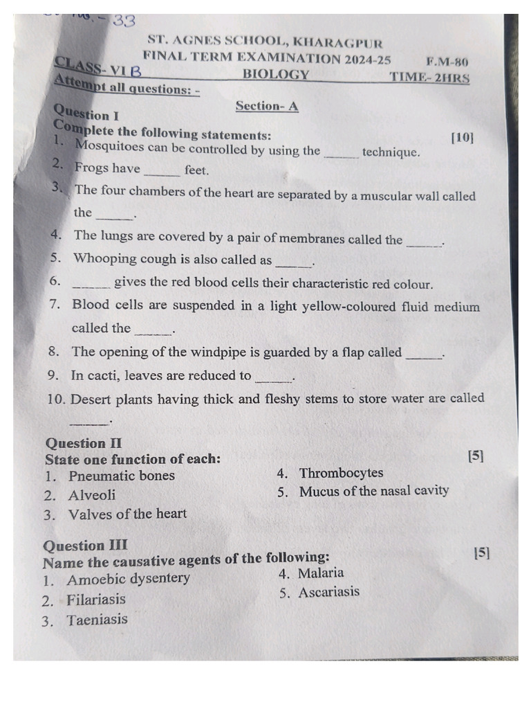 Biology Class 6 24-25 | PDF