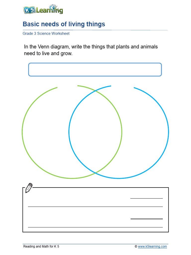Basic Needs of Living Things Worksheet | PDF