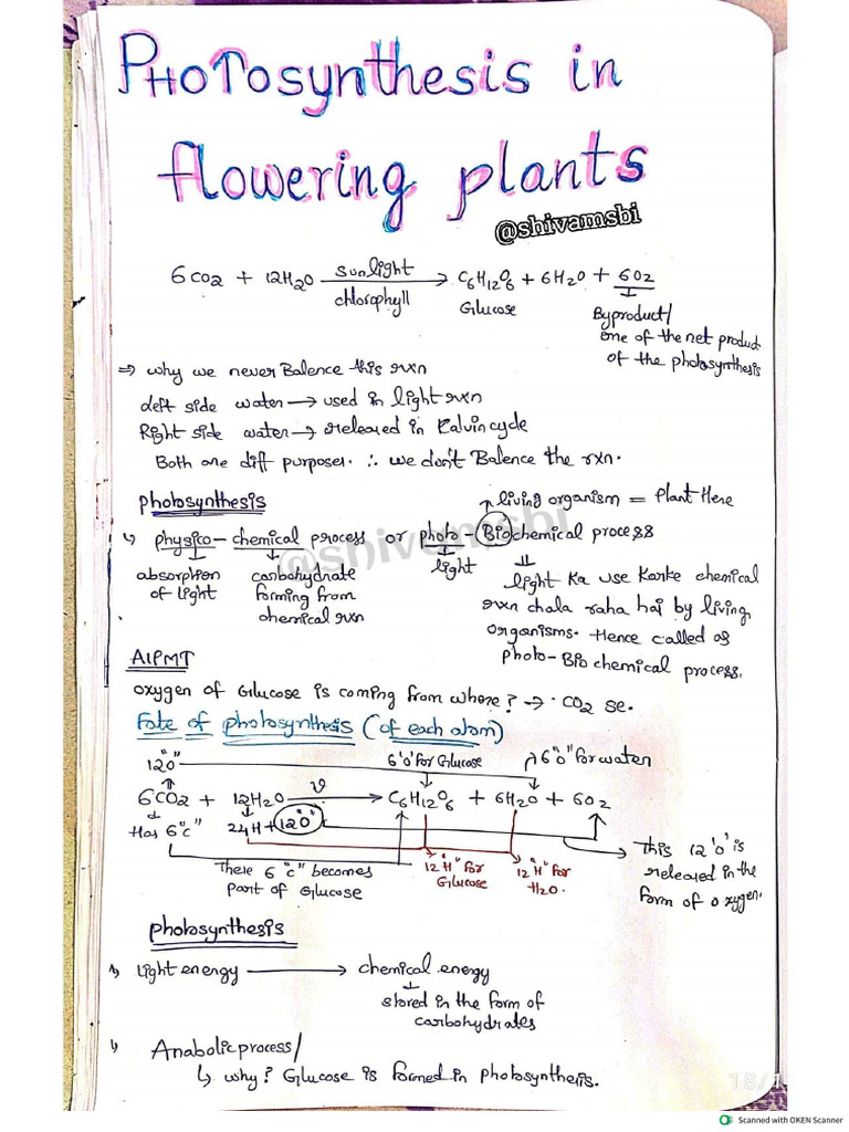 MKG Handwritten Notes of Photosynthesis | PDF