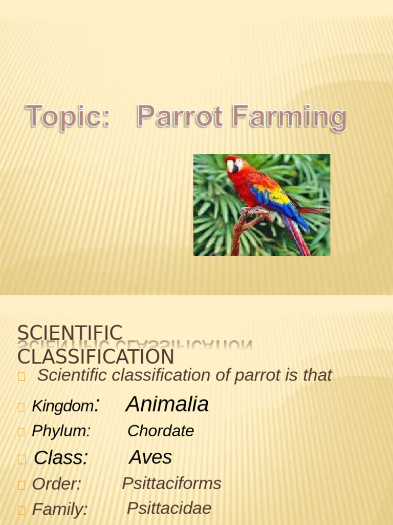 Parrot Scientific Classification and Care | PDF | Parrot | Zoology