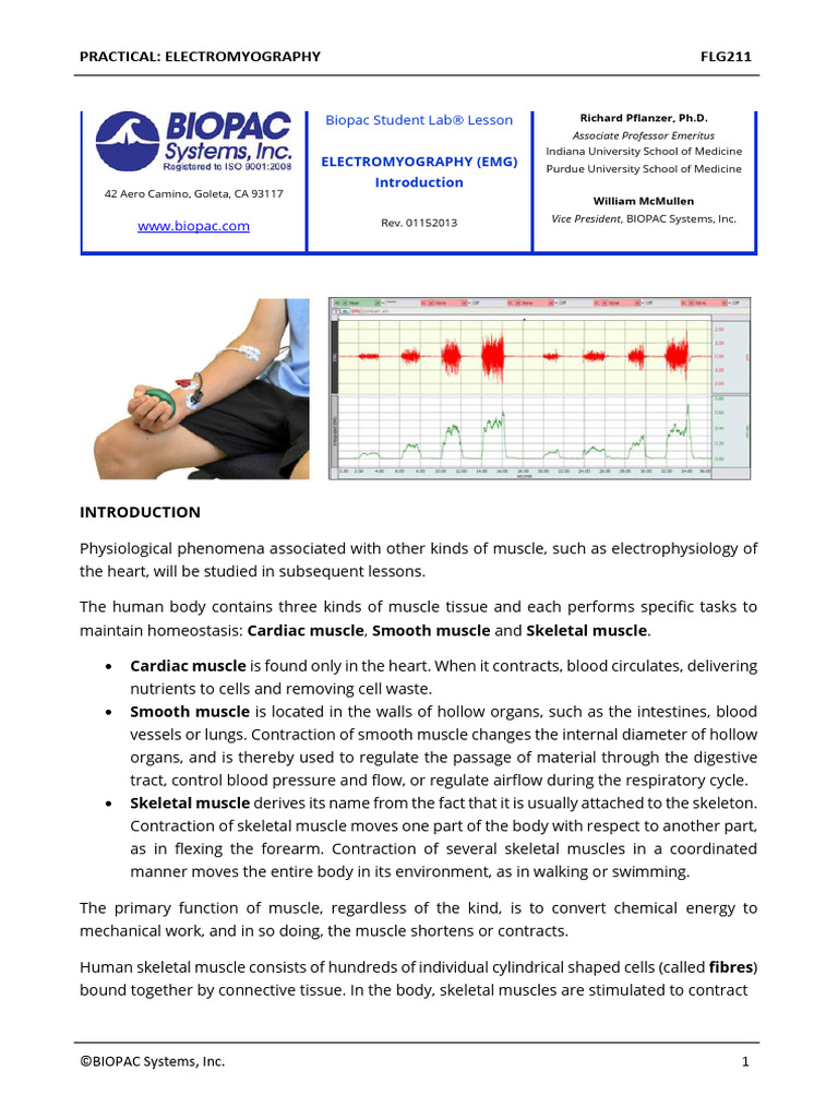 Understanding Electromyography Basics | PDF | Motor Neuron ...