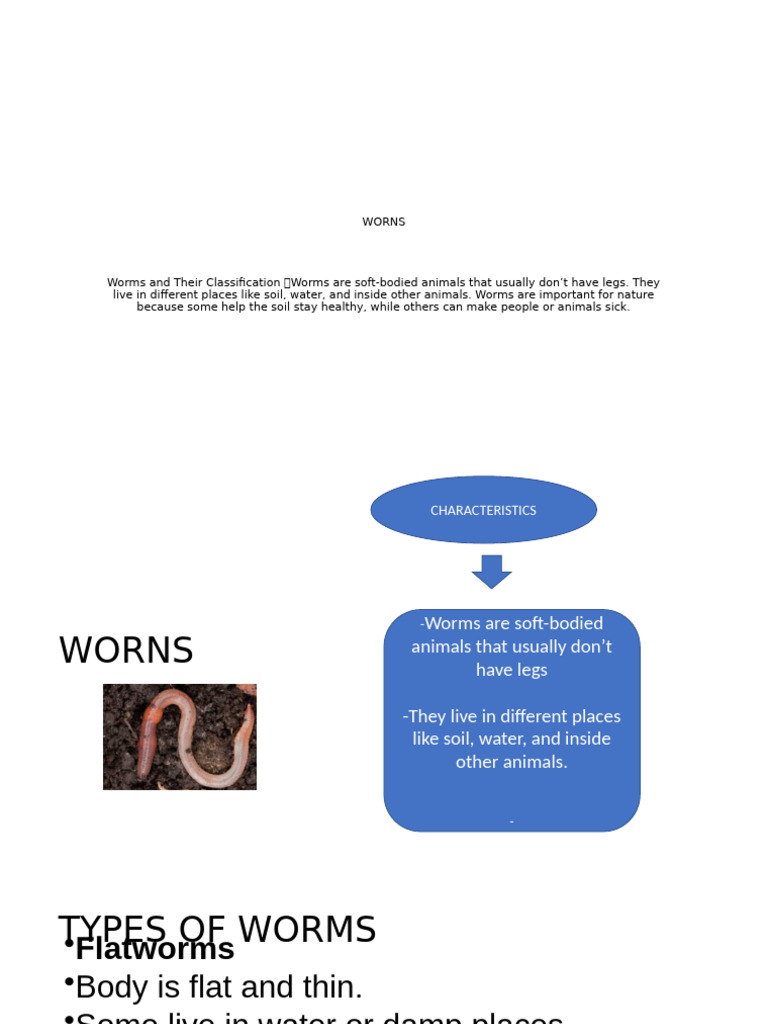WORNS | PDF