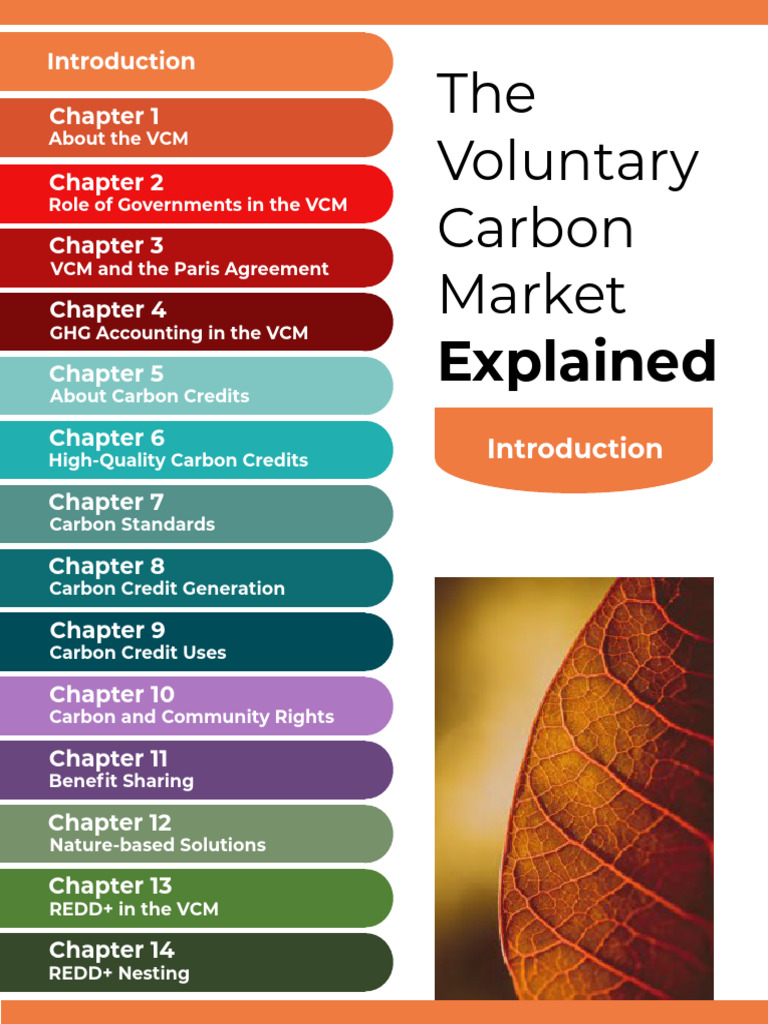 Understanding the Voluntary Carbon Market | PDF | Climate Change ...