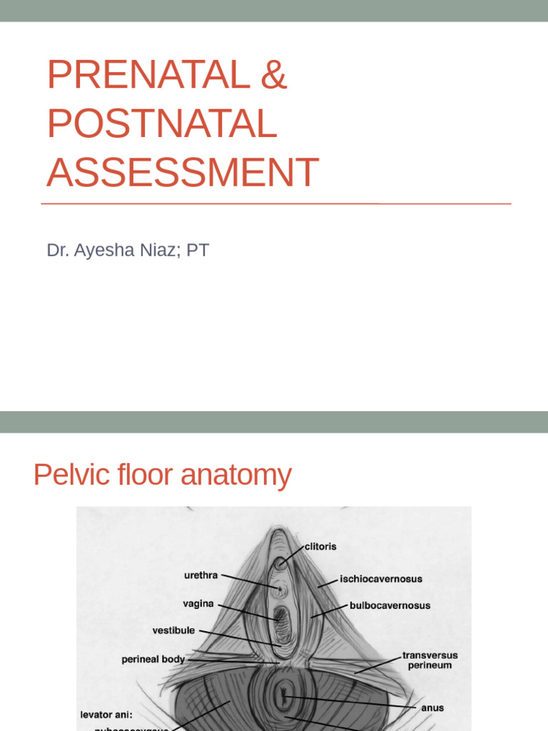 Prenatal & Postnatal Assessment Guide | PDF