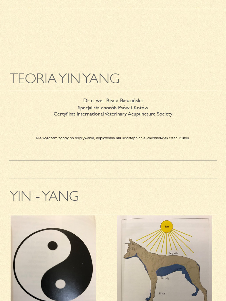 2.teoria Yin Yang, Ż PDF | PDF