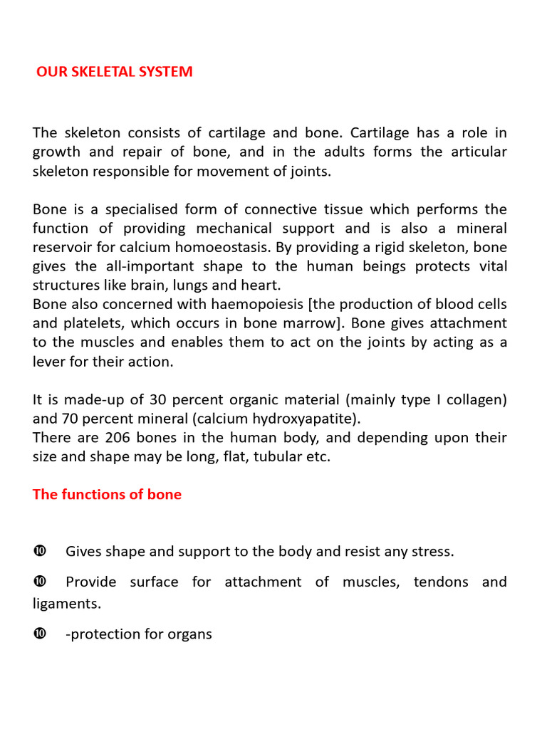 Understanding the Skeletal System | PDF | Anatomical Terms Of Motion | Bone