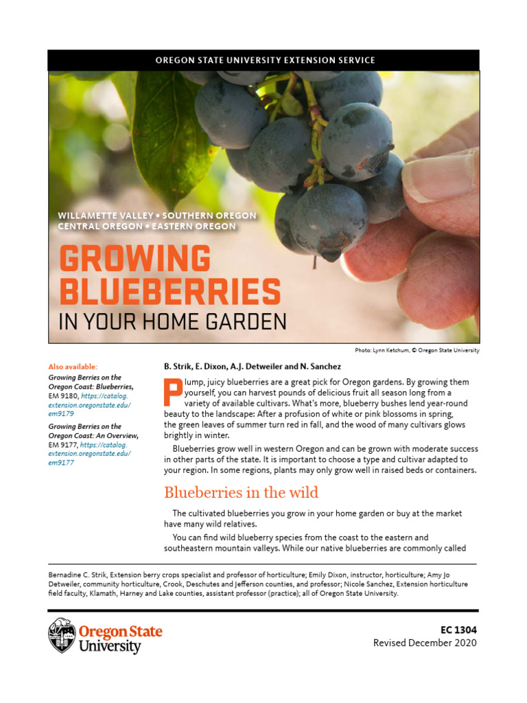 Growing Blueberries in Oregon Gardens | PDF | Mulch | Soil