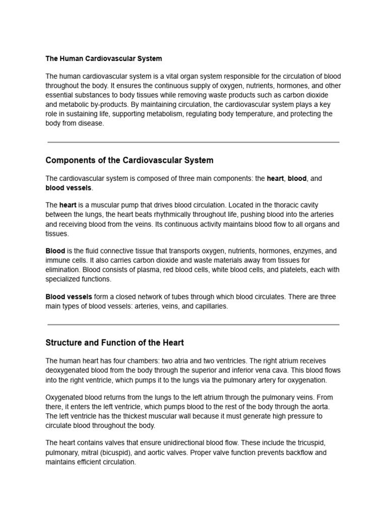 Overview of the Human Cardiovascular System | PDF | Circulatory System ...