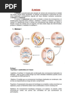A meiose