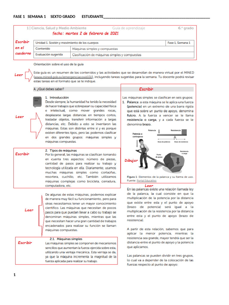 Fase 1 Semana 1 Sexto Grado Ciencia Estudiante | PDF