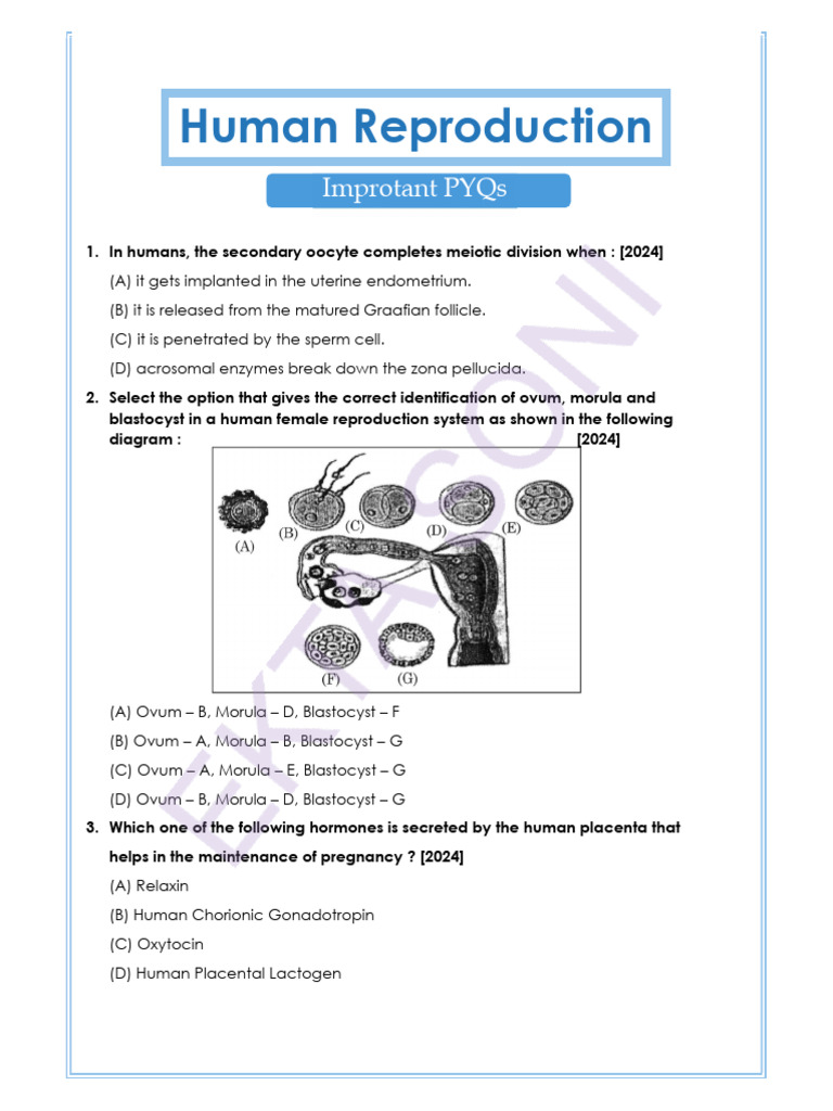 Human Reproduction: Key Concepts and Questions | PDF | Menstrual Cycle ...