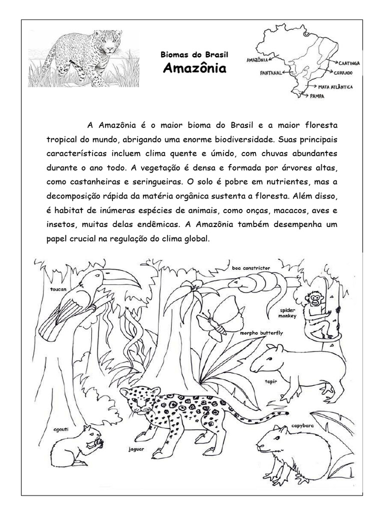 Bioma Amazônia: Biodiversidade e Clima | PDF