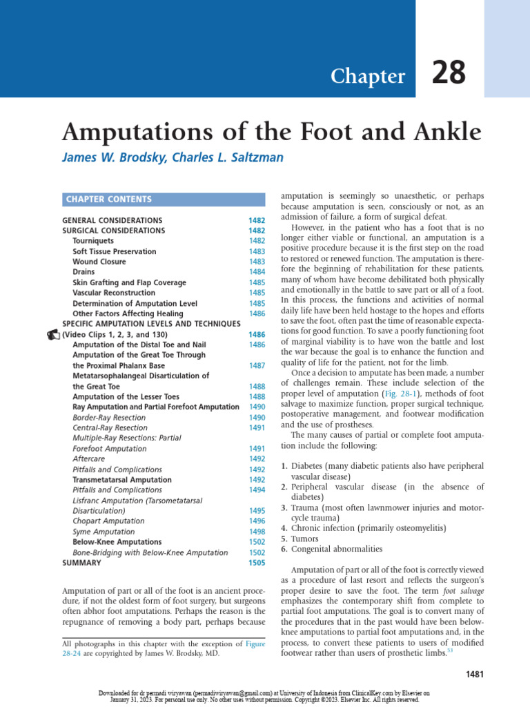 Amputations of The Foot and Ankle | PDF | Amputation | Wound