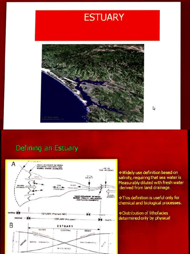 Understanding Estuary Formation and Types | PDF | Estuary | River Delta