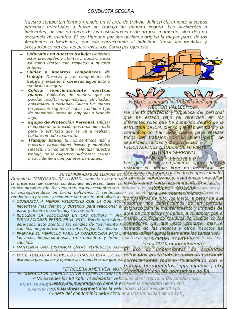 Seguridad en el Trabajo y Conducción | PDF | Comportamiento | Valores