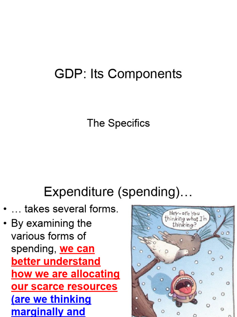 Understanding GDP Components Explained | PDF
