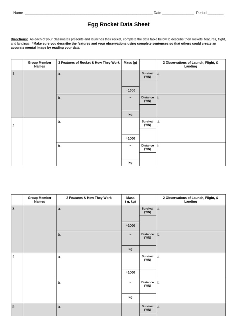 Egg Rocket Data Sheet | PDF