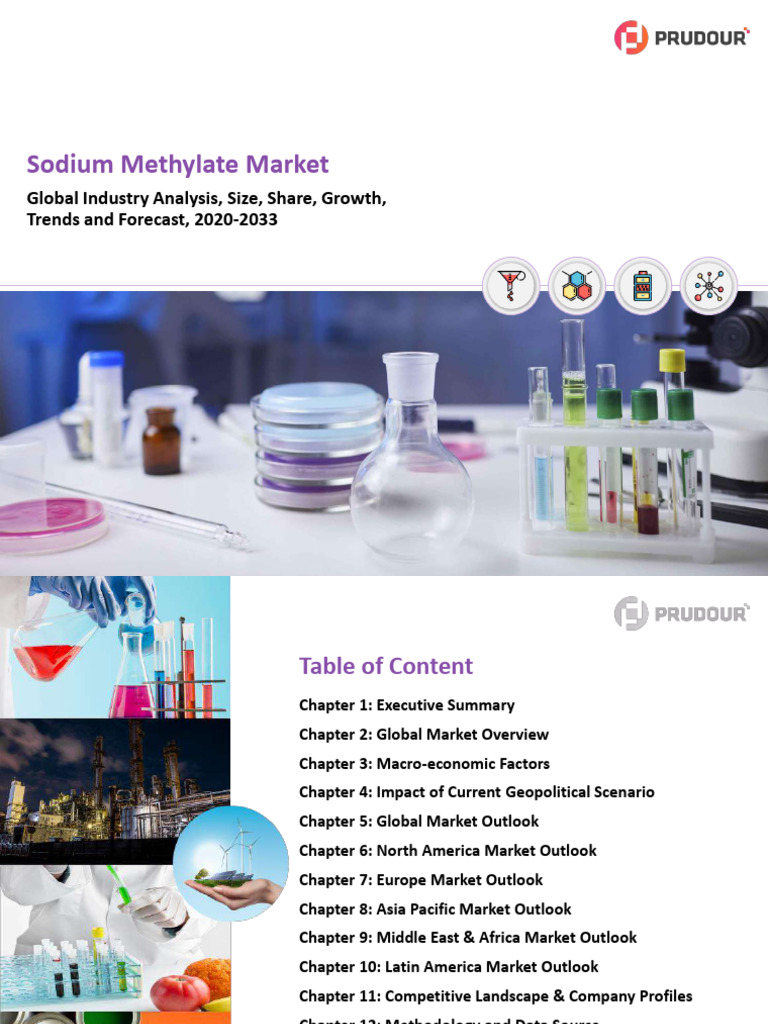 Global Sodium Methylate Market Trends | PDF | Biodiesel | Capital ...