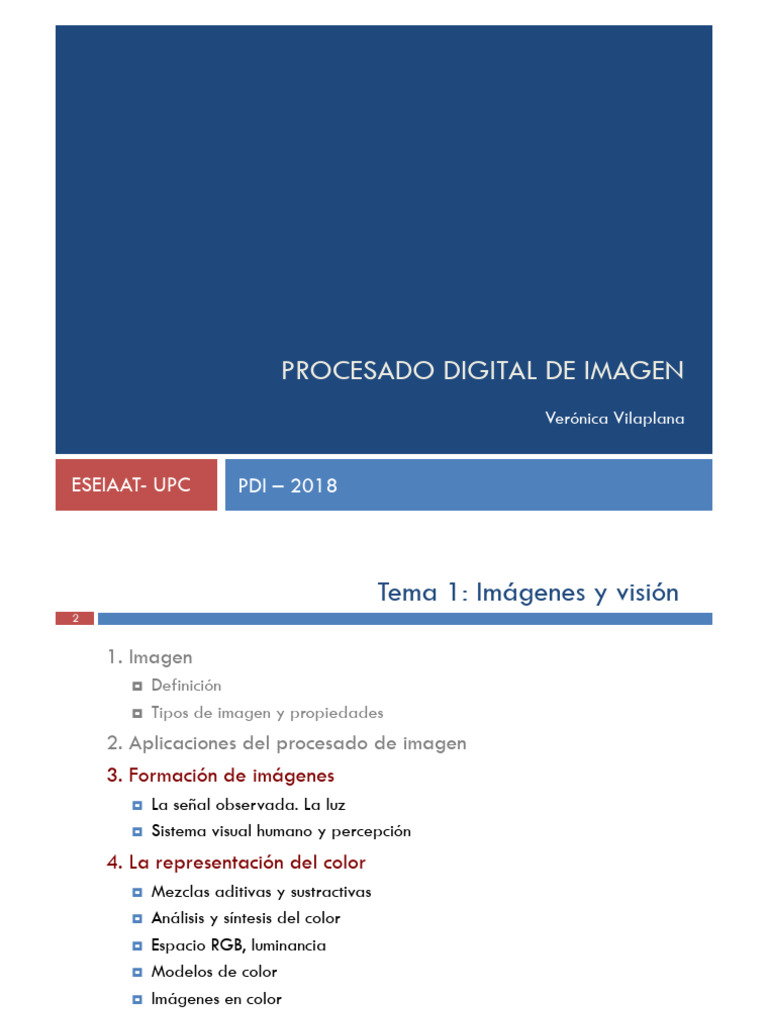 Procesado Digital de Imágenes y Visión | PDF | Color | Percepción visual