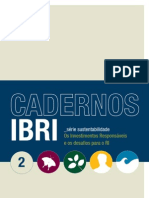 IBRI_Caderno_2
