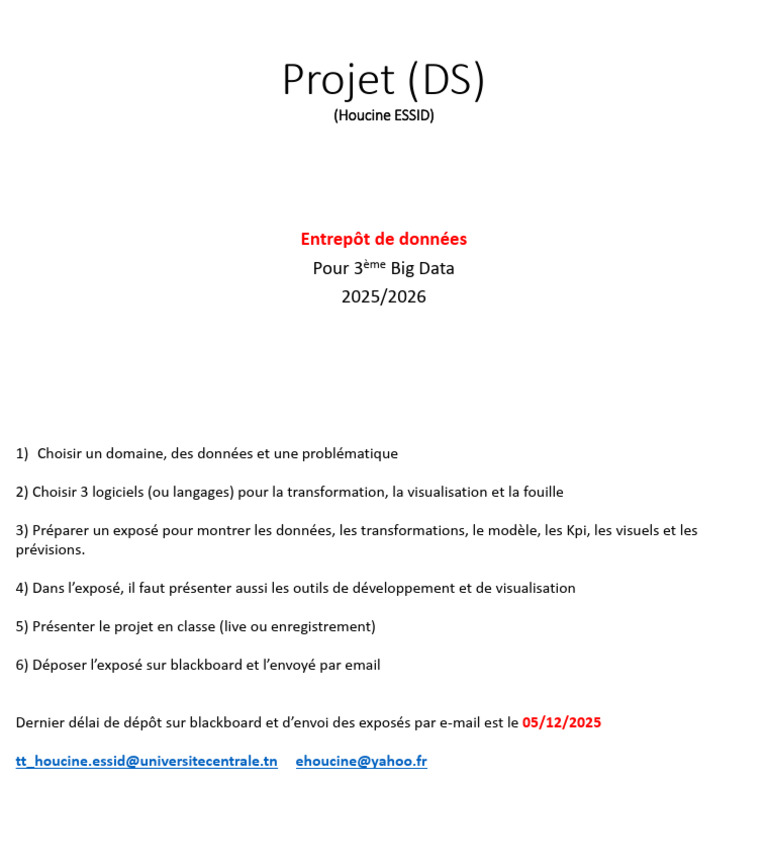 Projet Big Data : Exposé et Outils 2025 | PDF