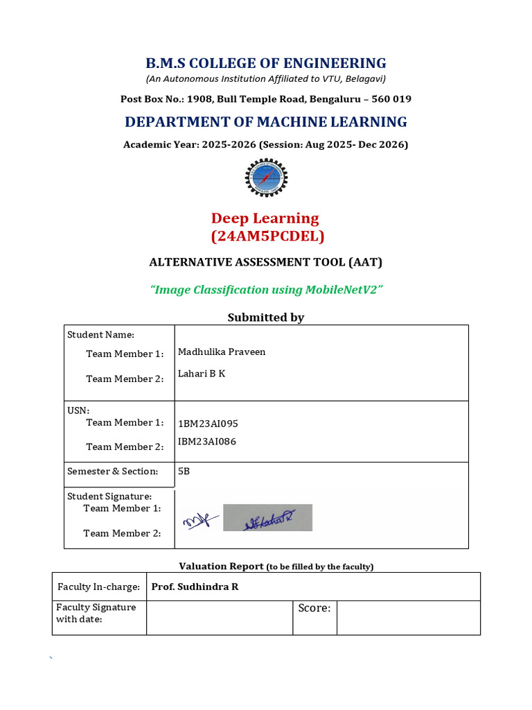 Del Aat Report | PDF | Deep Learning | Applied Mathematics