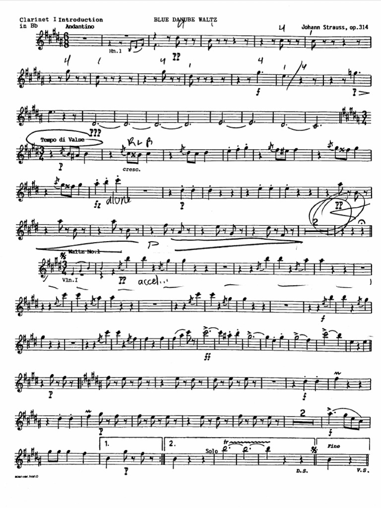 Blue Danube Waltz - Strau | PDF