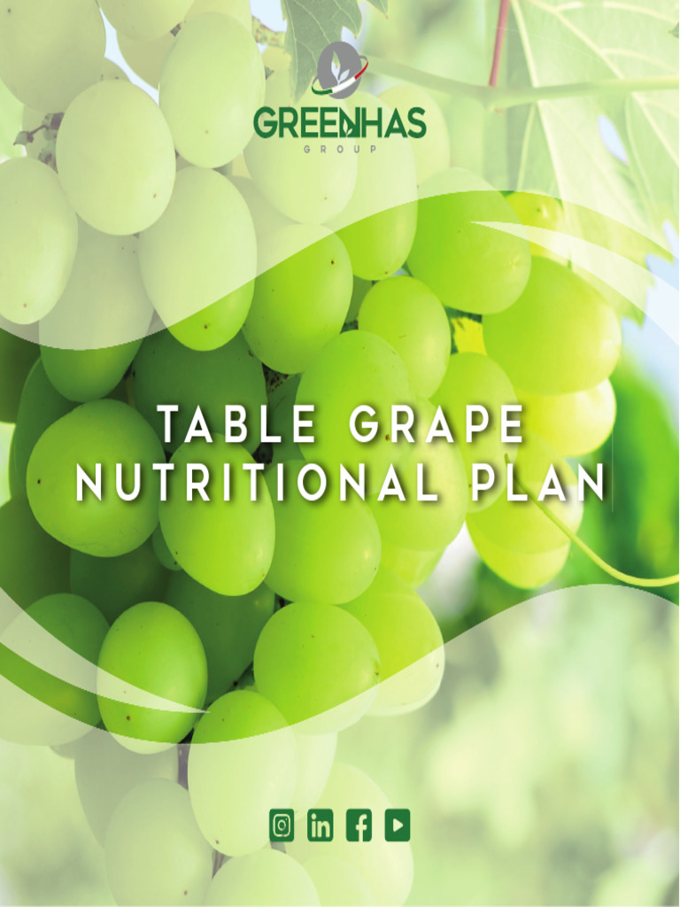 Table Grape Nutritional Plan Guide | PDF | Fruit | Flowers