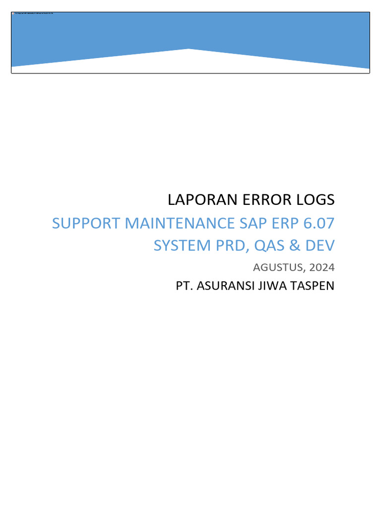SAP ERP 6.0 Maintenance Report 2024 | PDF | Software | Computer Programming