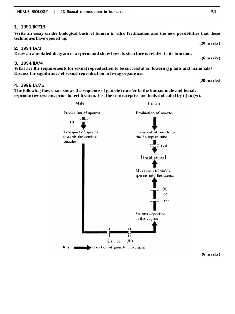 Chapter13_Sexual Reproduction in Humans | PDF | Sexual Reproduction ...