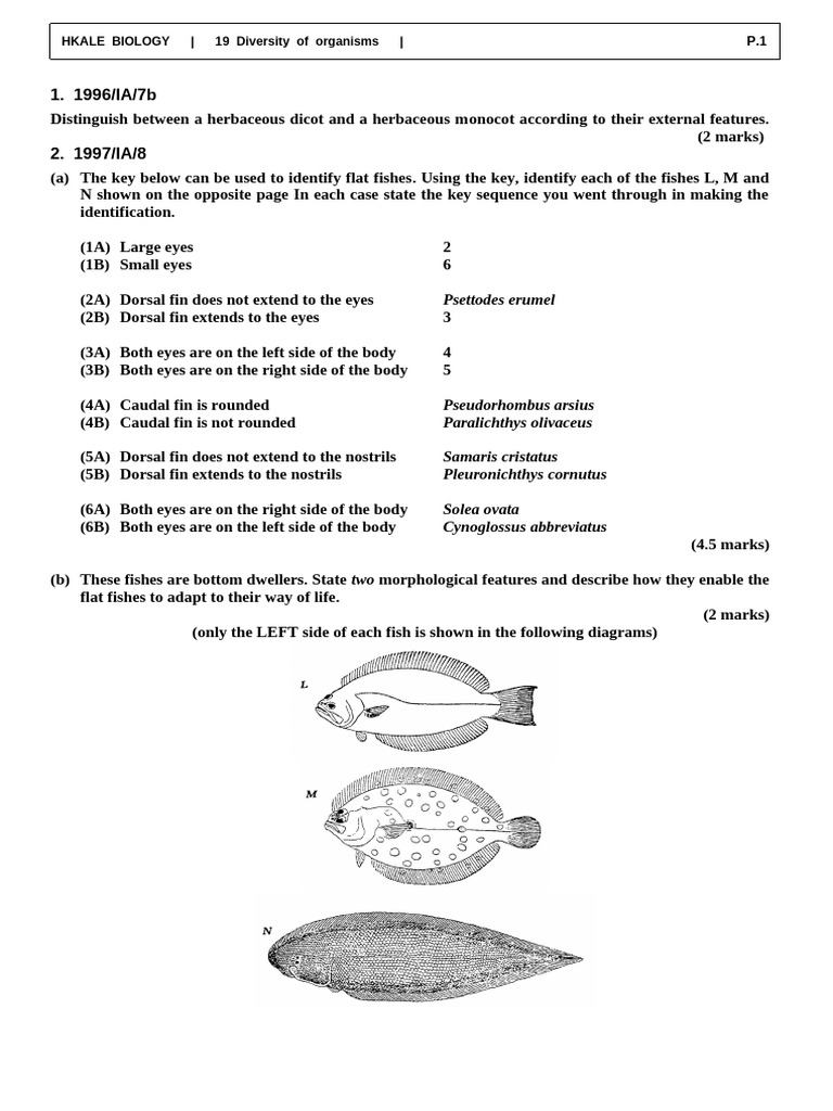 Organism Identification and Taxonomy Guide | PDF | Biology