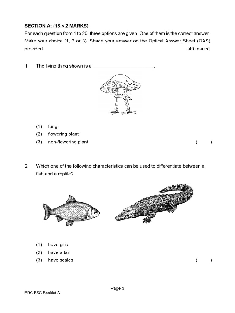 ERC FSC Science Exam Questions | PDF | Weighing Scale | Plants