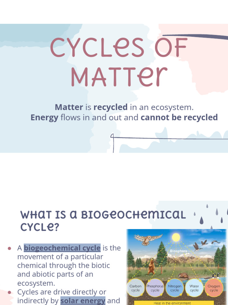 PP - Cycles of Matter PDF | PDF