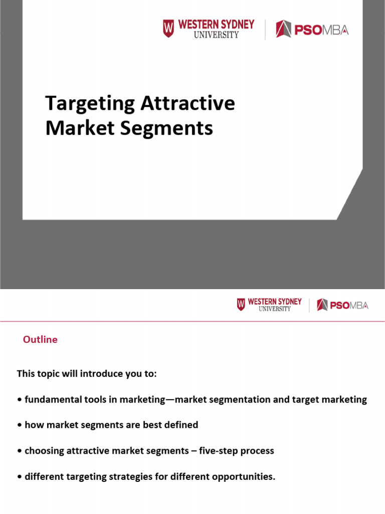 Attractive Market Segmentation Strategies | PDF | Market Segmentation ...
