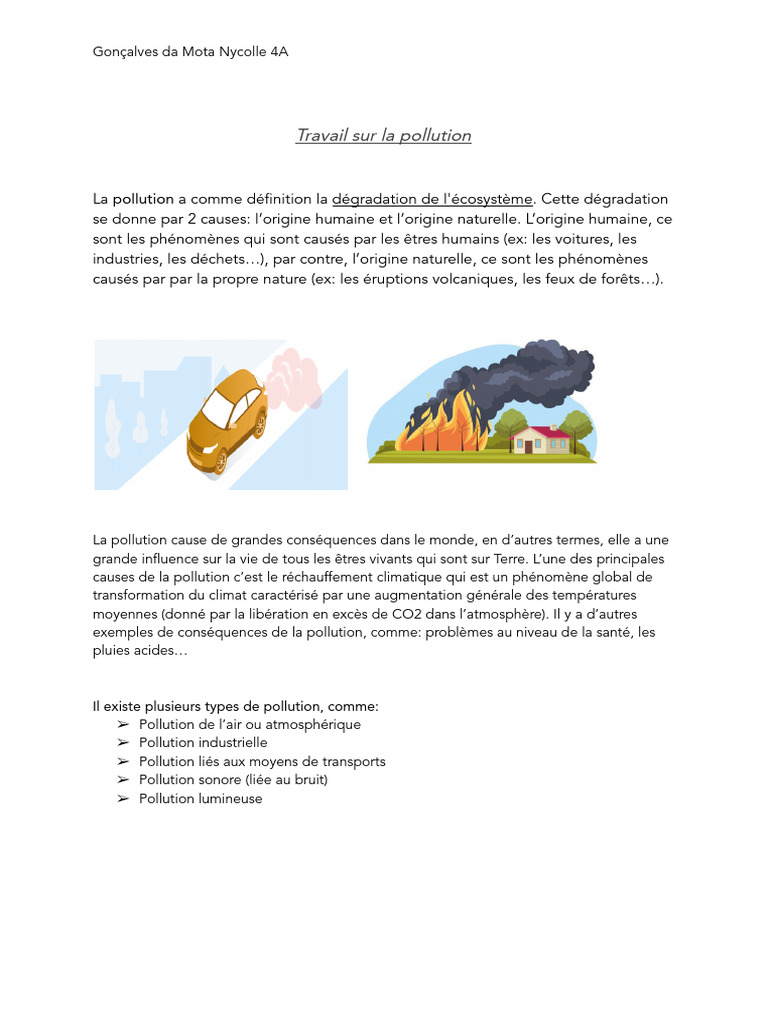 Types et causes de la pollution | PDF