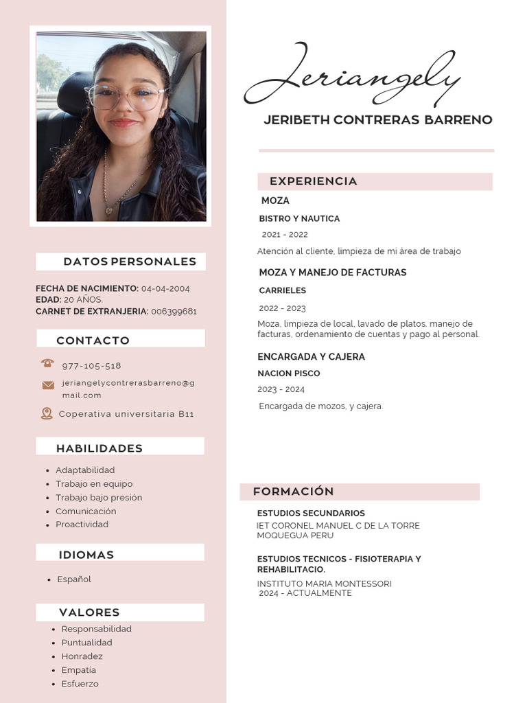 Currículum Vitae CV Diseñadora y Arquitecta Minimalista Rosa | PDF