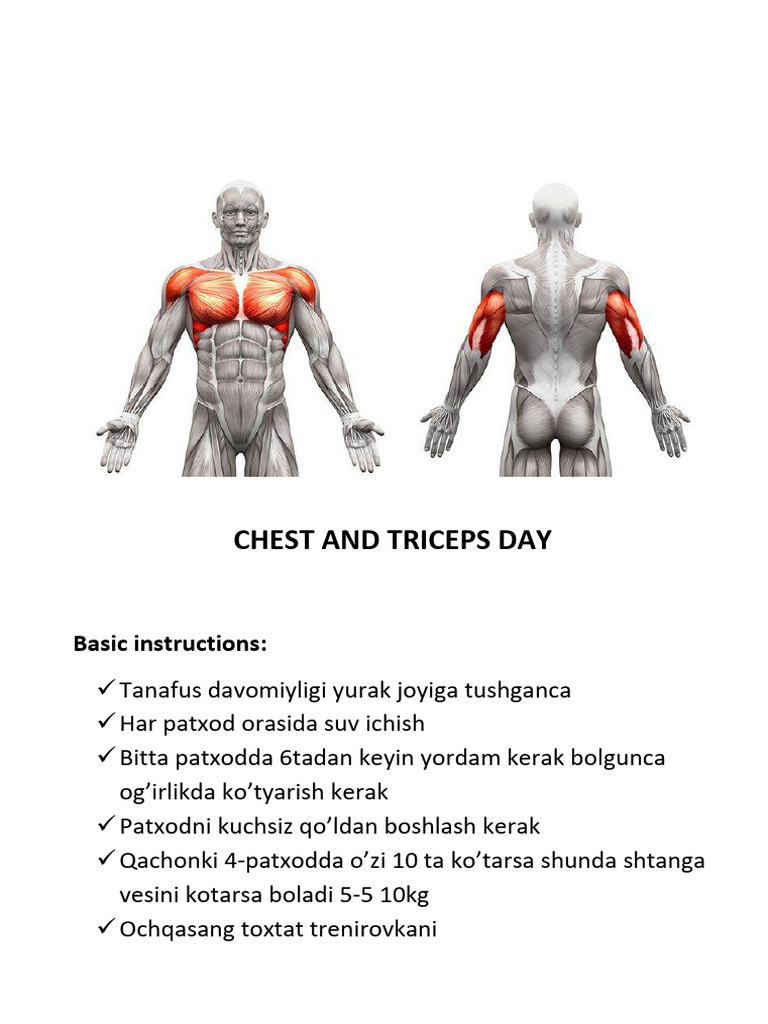 Chest and Triceps Workout Guide | PDF