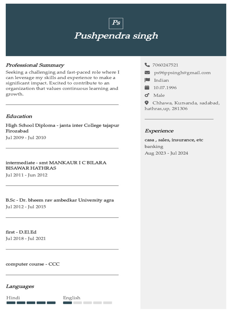 Professional Summary and Education Overview | PDF
