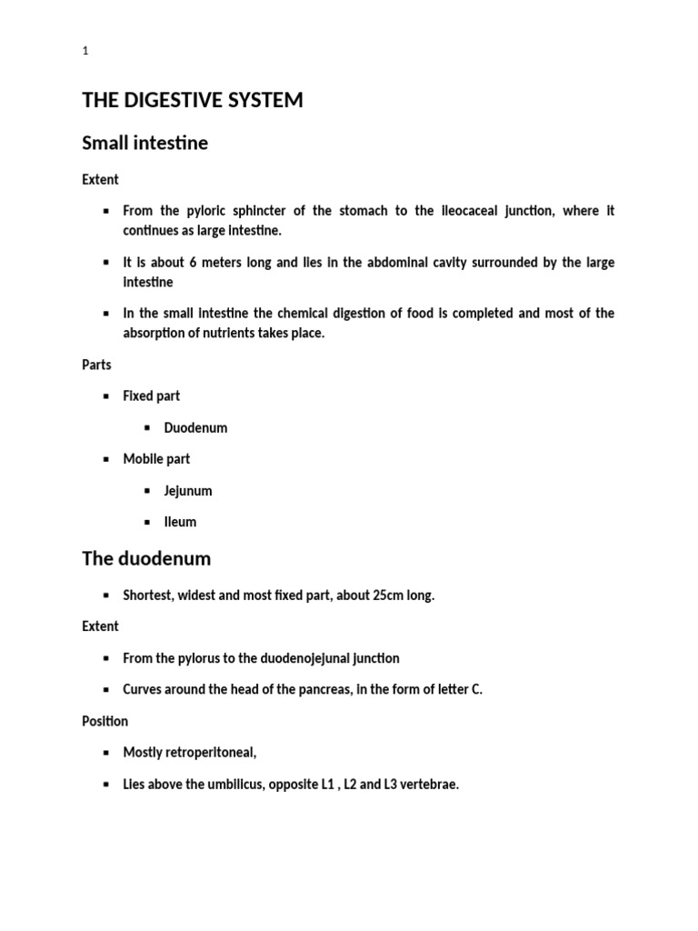 The Digestive System 2 | PDF | Liver | Pancreas