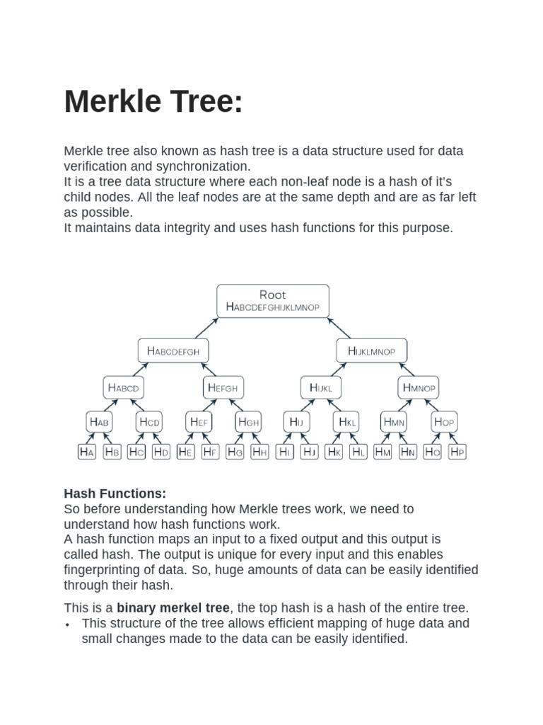 Merkle Tree | PDF | Computing | Algorithms And Data Structures