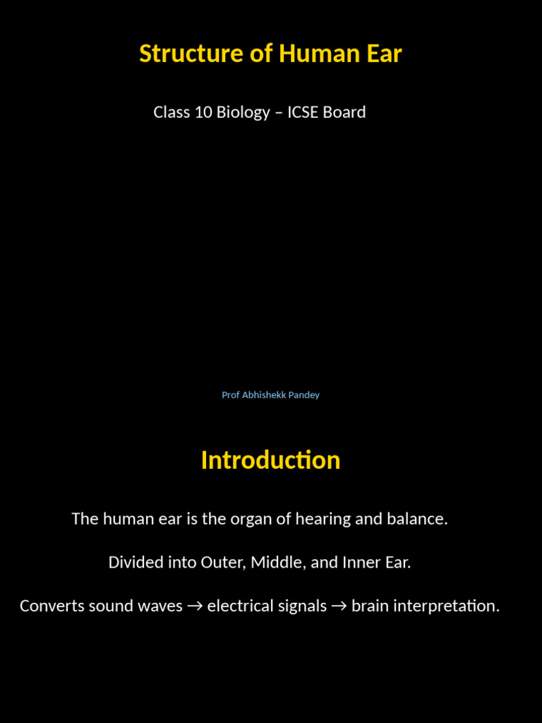 Human Ear Structure Explained | PDF