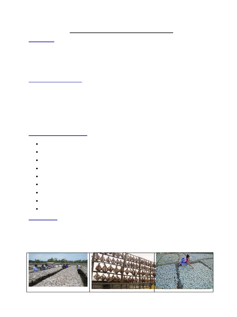 Sun Drying and Dehydration of Fish | PDF | Absorbed Dose