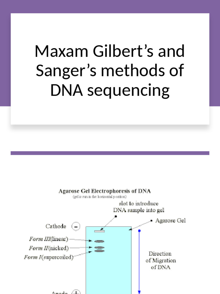 Sequencing | PDF