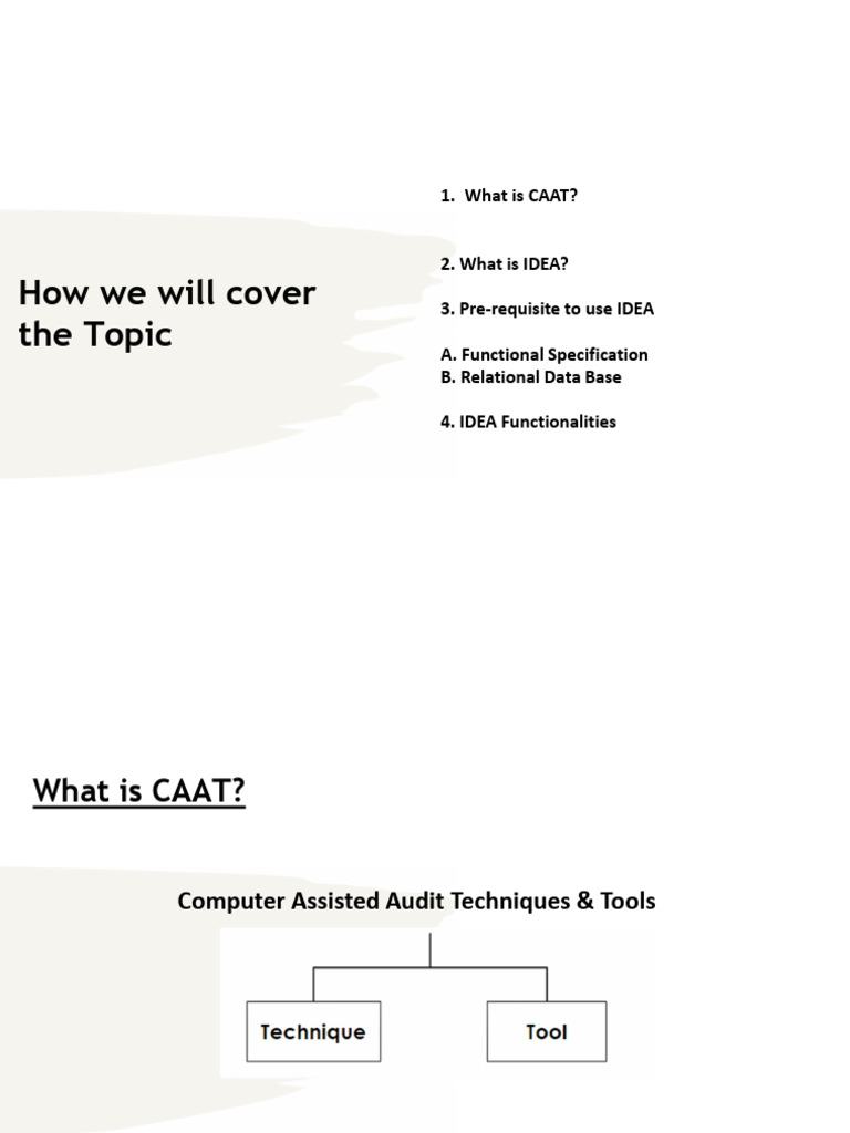 Data Analytics Using Caat Tool Idea | PDF | Microsoft Excel | Algorithms