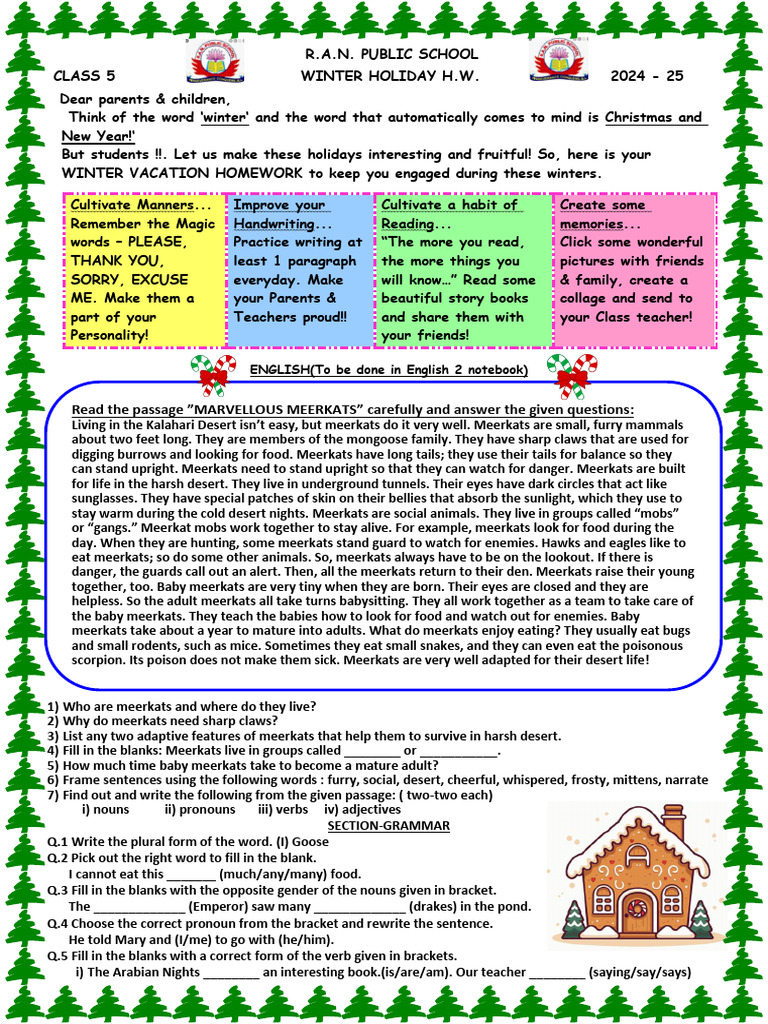 Class 5 Winter Holiday Homework 2024-25 | PDF | Meerkat | Noun